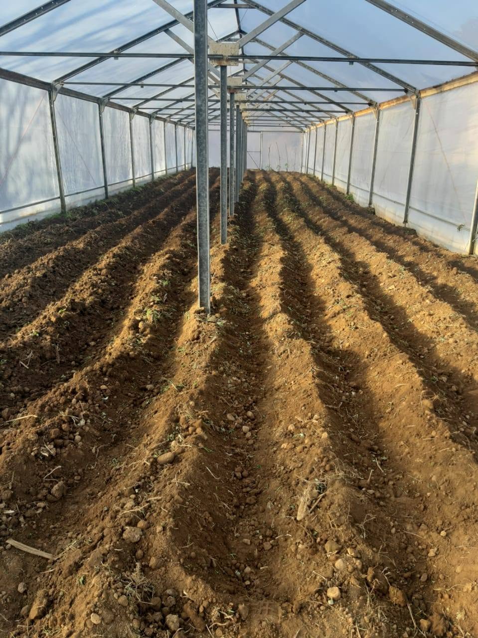 500 square meter greenhouse construction for sale urgently.