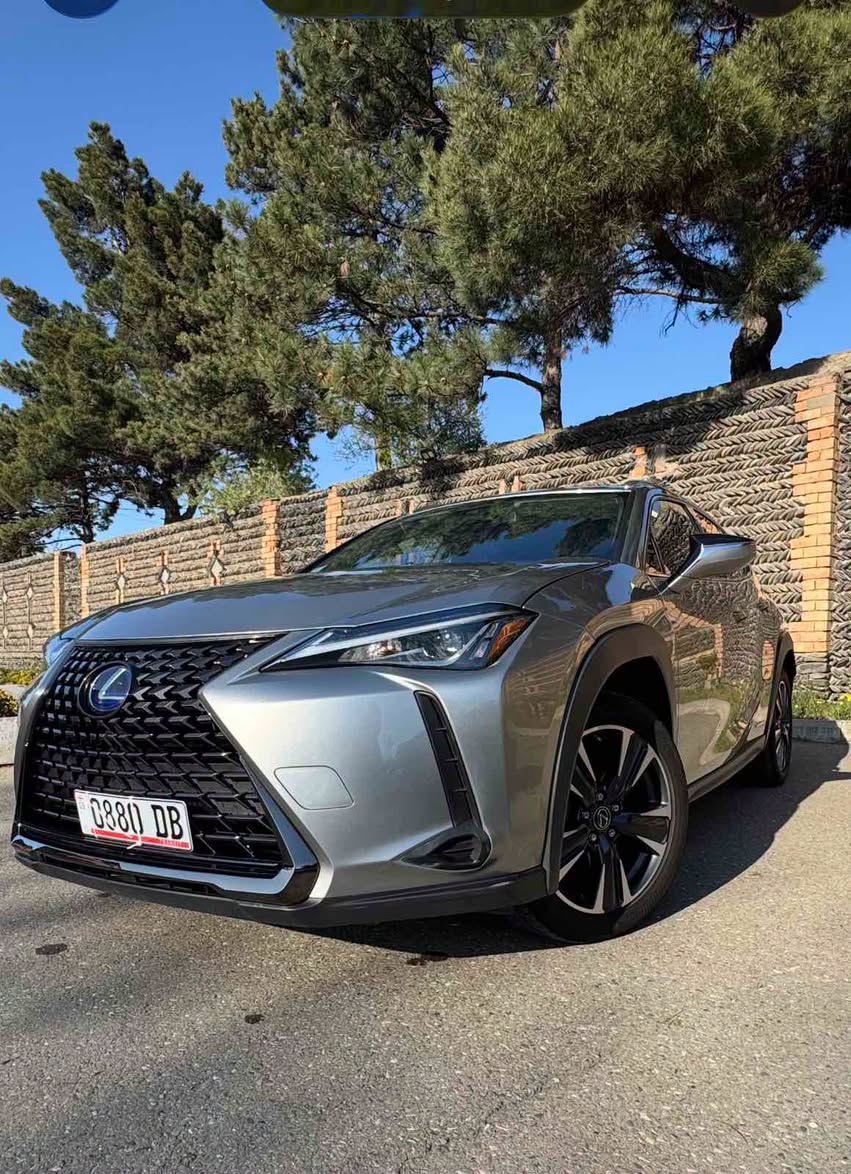 Lexus Ux 250 Hybrid AWD 2022
