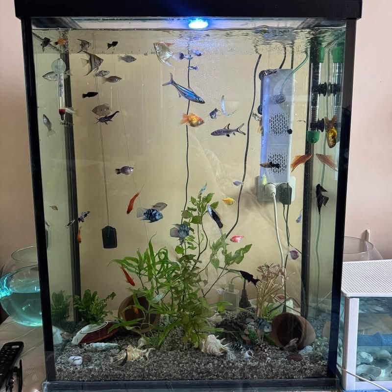 Satılık Akva 140 l 45.000