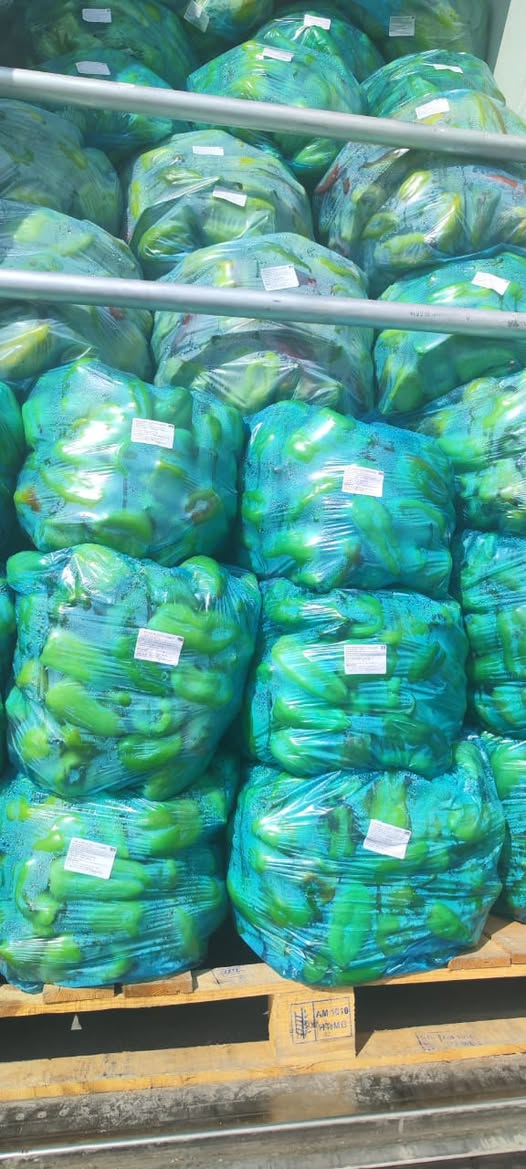 Satışda ucuz qiymətə böyük miqdarda yaşıl yarpaq