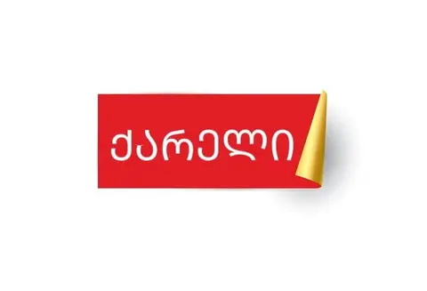 დაწყებითი კლასების მოსწავლეების მომზადება
