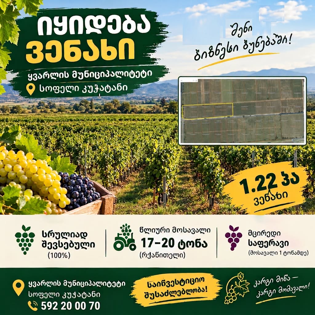 Bag 1.22 ha, Küçükatani