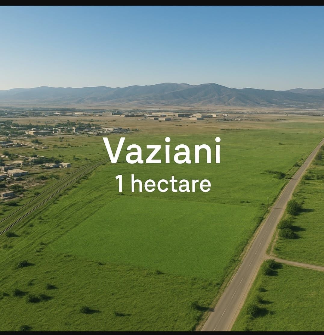 Հողակտոր, Թբիլիսի — $100,000