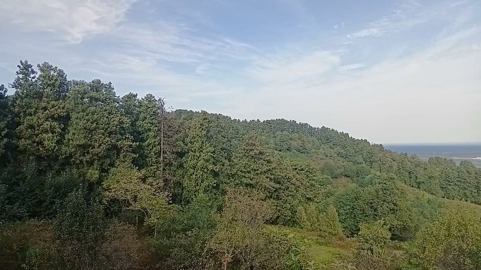 Toprak alanı, Batum
