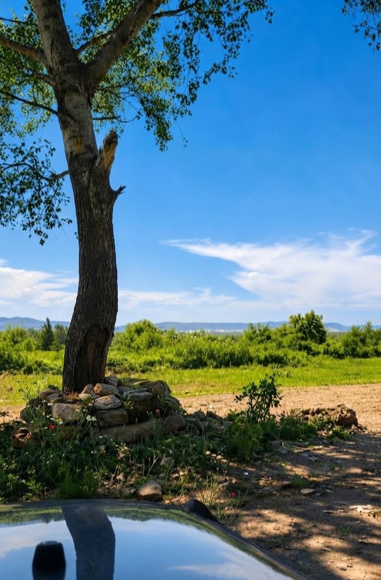 მიწის ნაკვეთი, სიღნაღი — $9,500