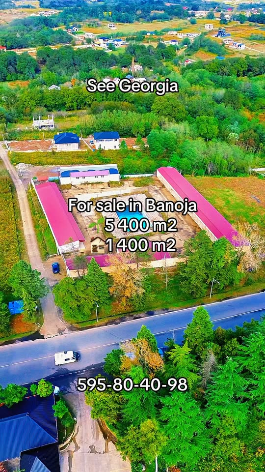 Ticari alan, Kutaisi