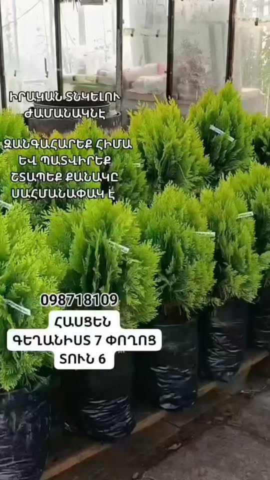HOLLANDA'DAKİ TÜM İZLENEBİLİR KANALLARIN İZLENMESİ