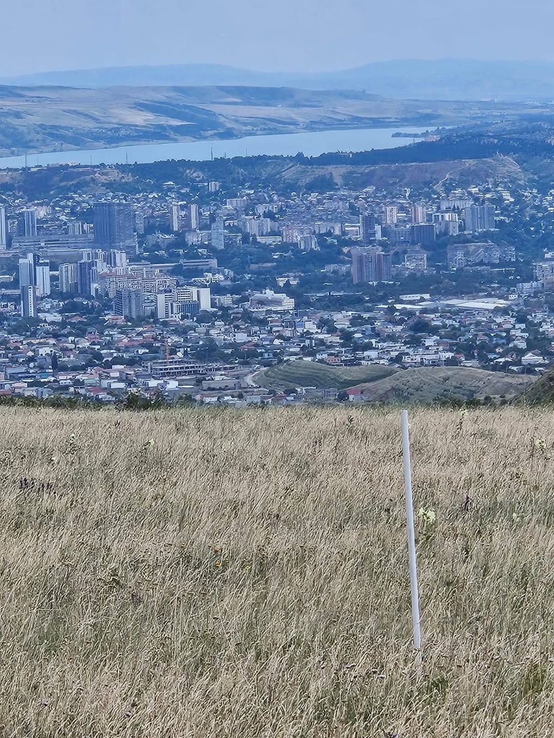 Torpaq