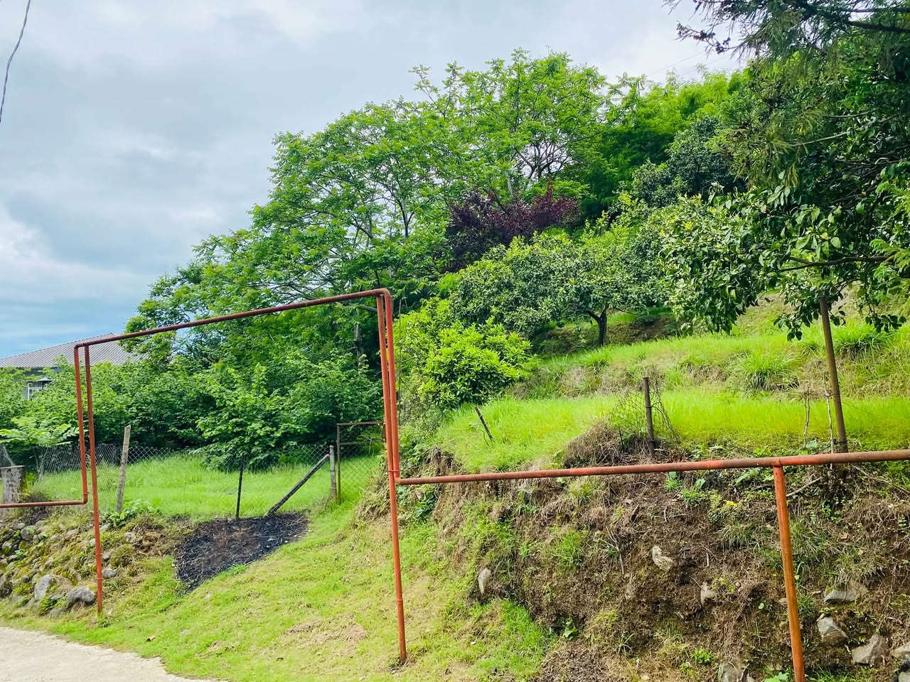 Land plot, Kobuleti