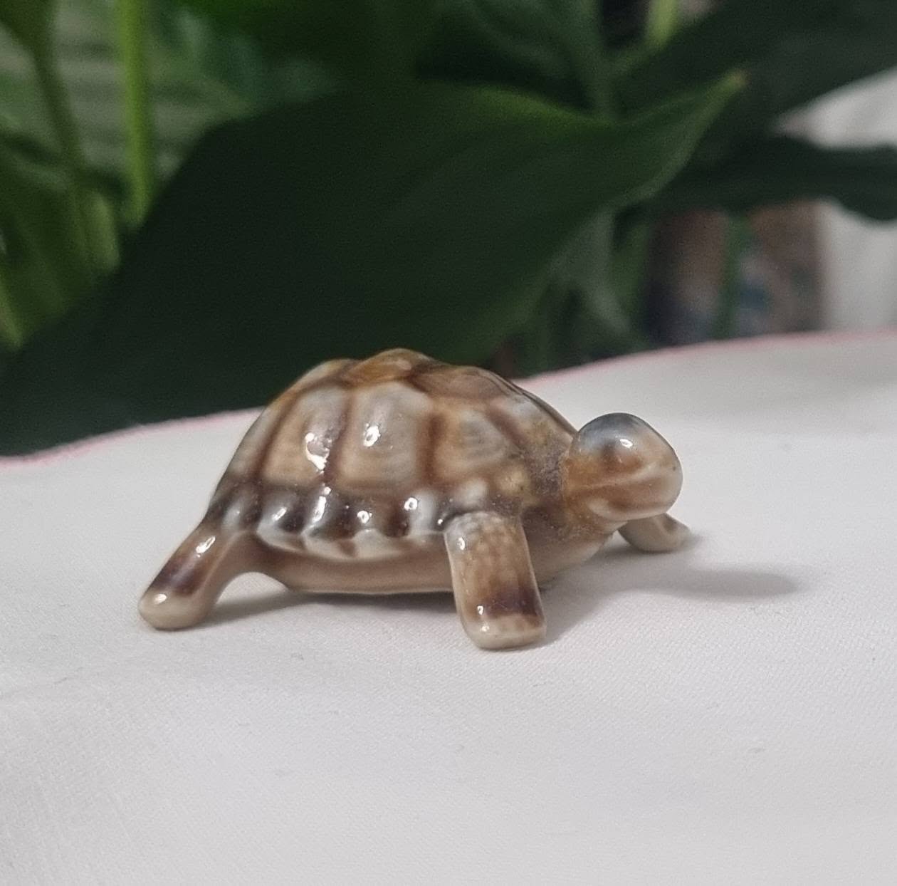 Продается✅️ Lot 365 🐢🐢🐢🐢🐢 сделано в Англии 1960