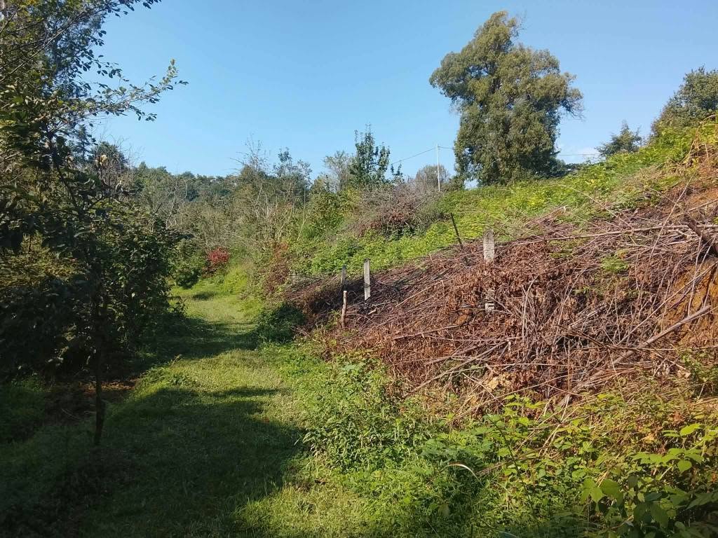 Վաճառվում է հողակտոր Ցիխիսձիրում 1225 քմ. գինը 50$ քմ.