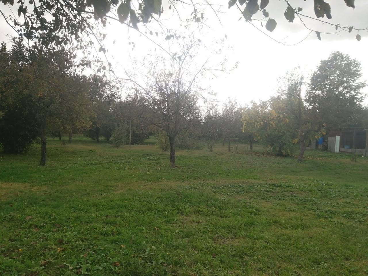 Հողատարածք, Ղաբելա — 1,500 ₼