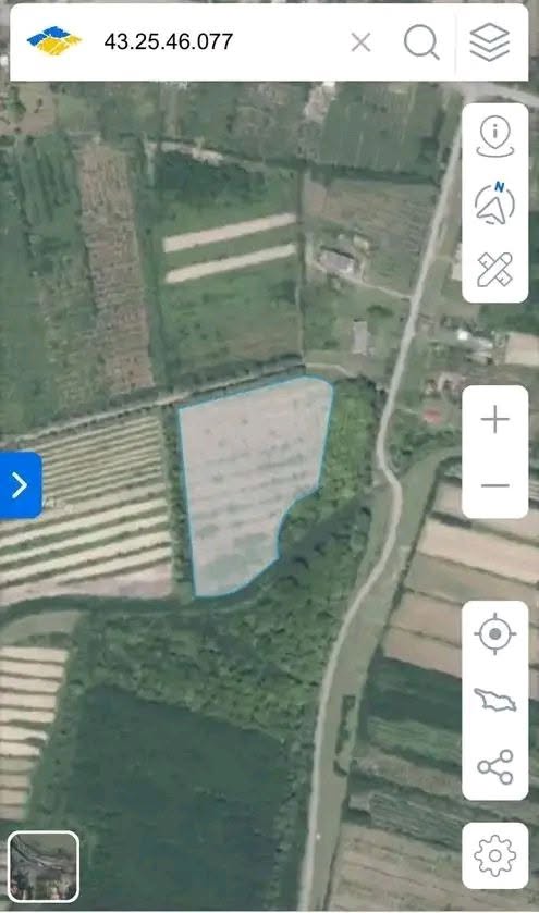 Zugdidi bölgesindeki Darçeli köyünde arsa satılık