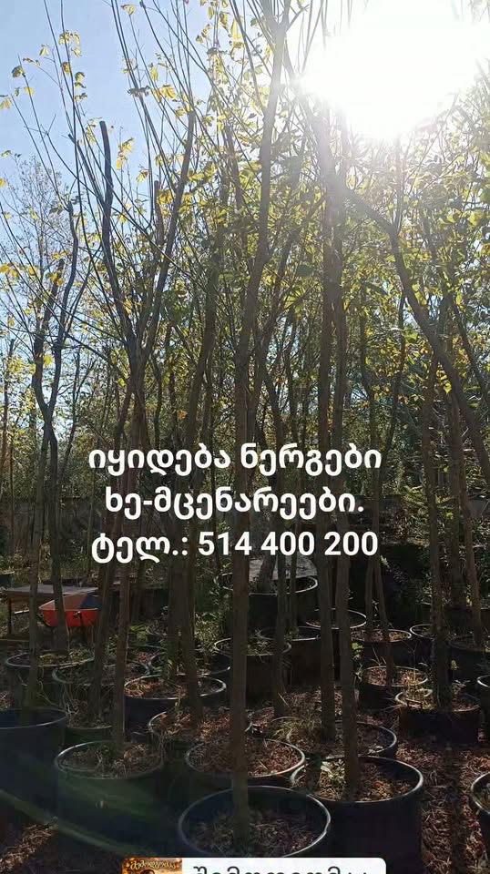 կիսվեք, ողջունում եմ թանկագին ընկերներին❣️ արդեն 2000