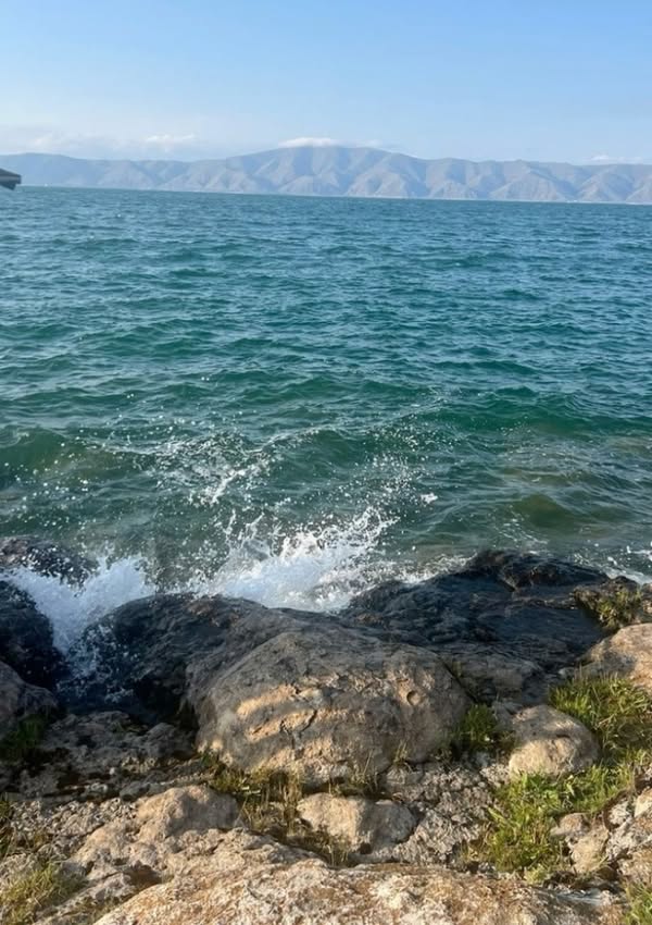 Репетитор по русскому языку и литературе
