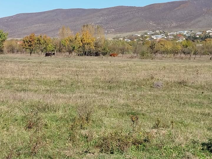 Участок земли, Тбилиси