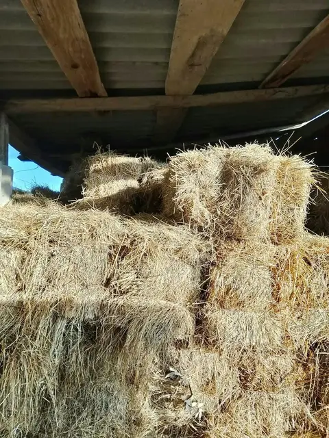 Satılık! 90 adet ot presi, 7₾'ye
