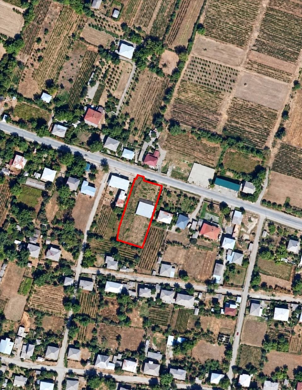 Land plot, Telavi