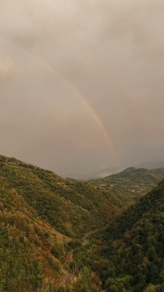 შატო სულორი