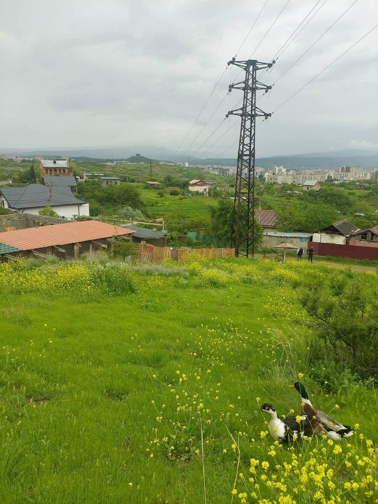 Torpaq sahəsi, Tbilisi