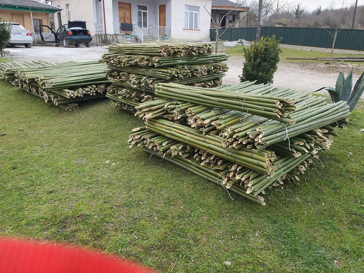 Tüm boyutlarda bambu satışımız mevcuttur ve yerinde teslimatımız vardır☎️