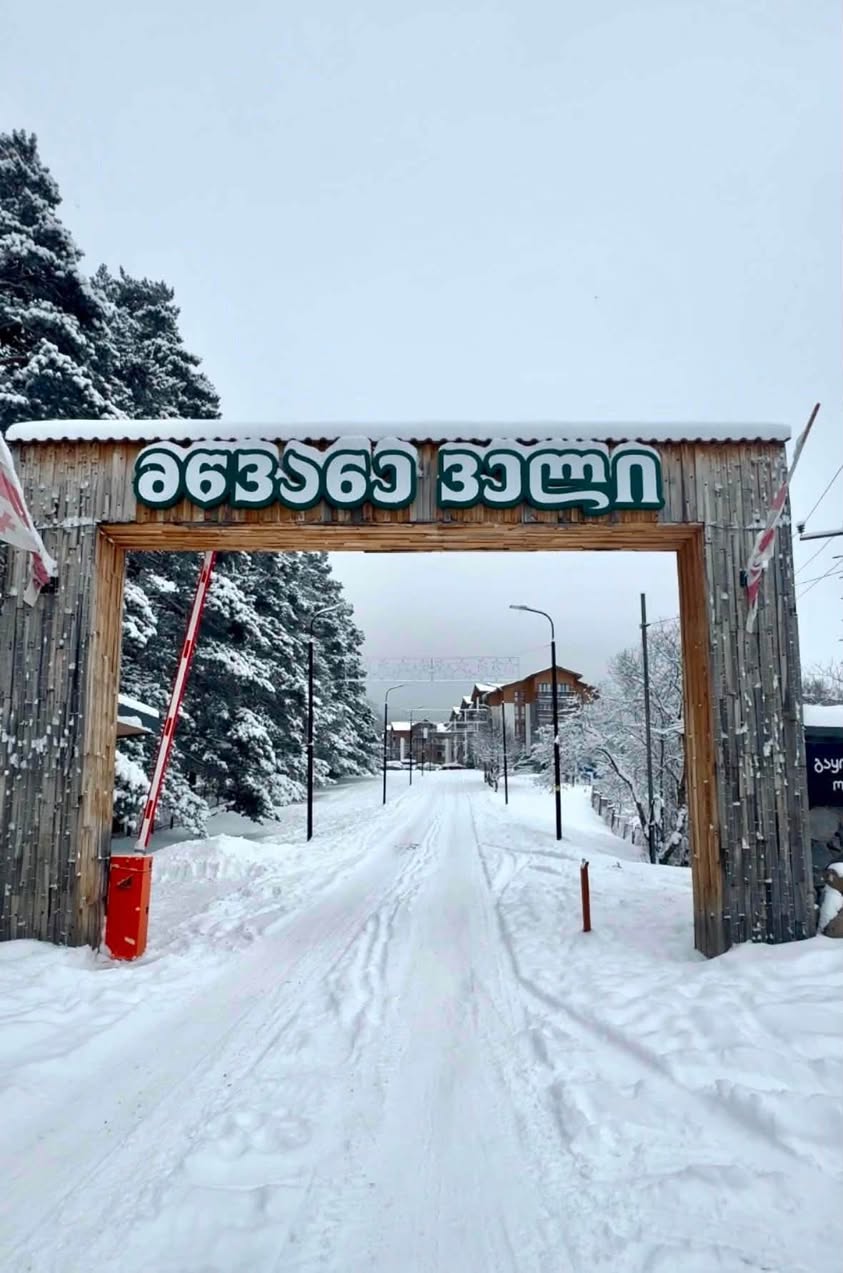 İcarəyə 2-otaqlı mənzil, Borjomi