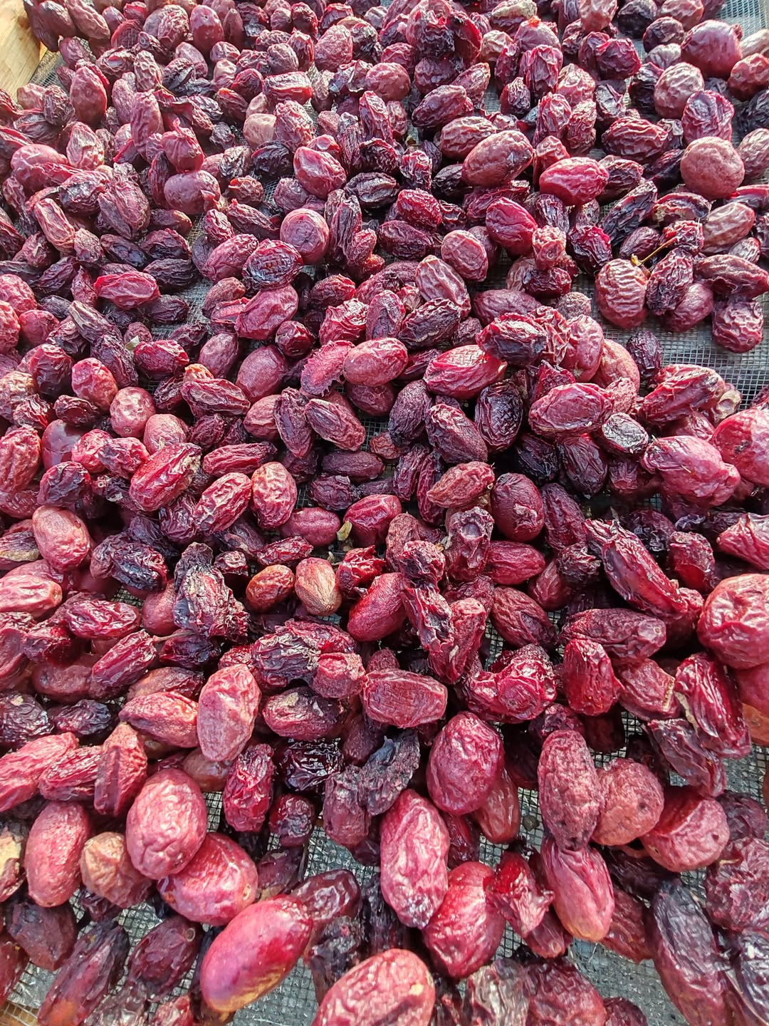 Շինդիս կերկի, 1 կգ