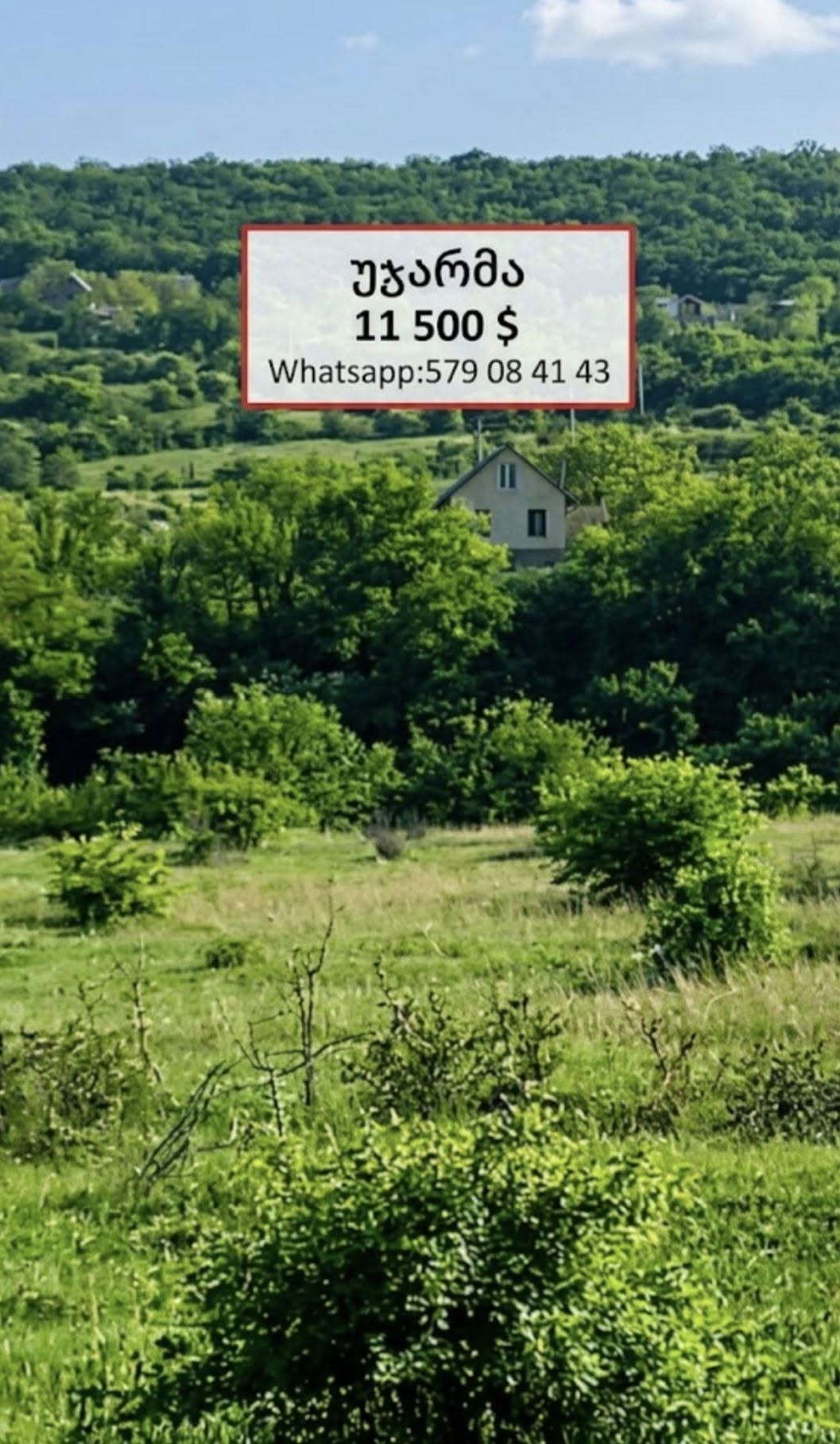 Arazi, Tiflis — $11,500