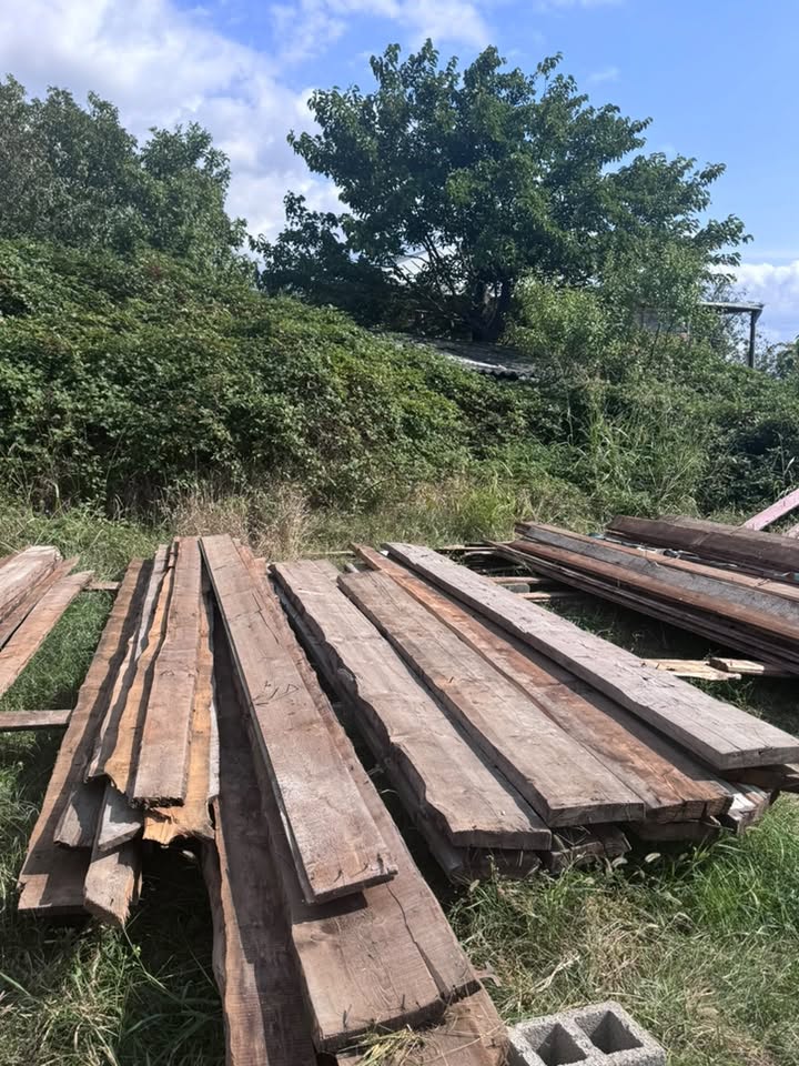 1 kub metrdən çox ağac materialı olacaq