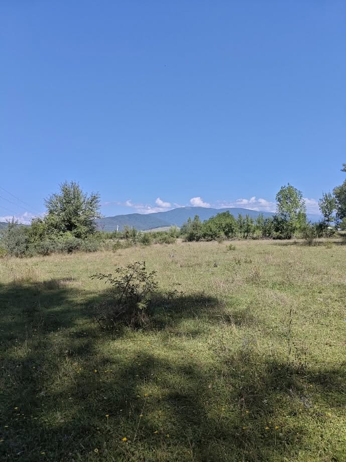 Arazi Parçası, Tianeti