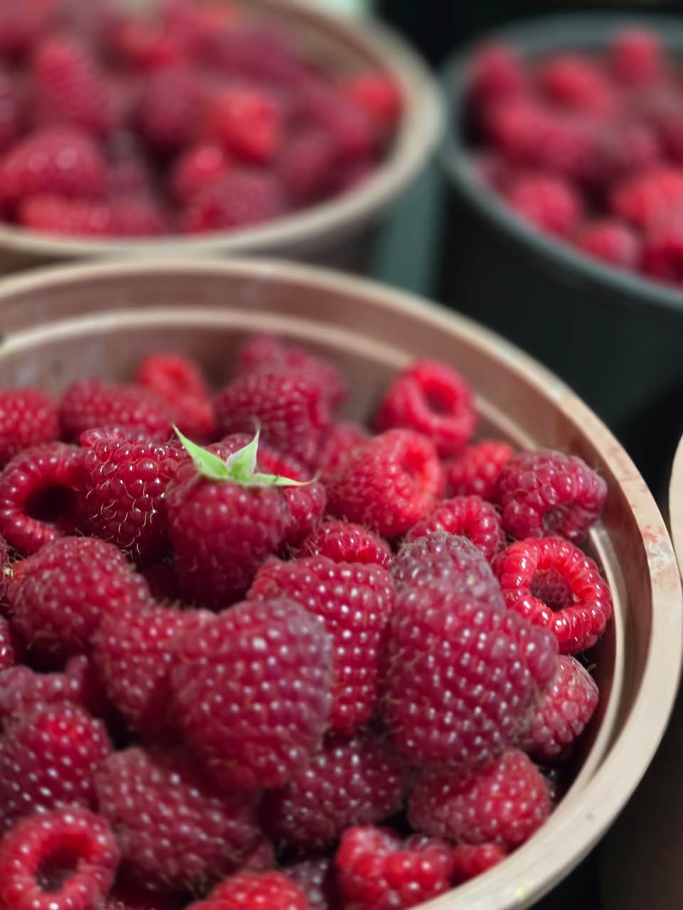 Yeni toplanan 3 kg çilek