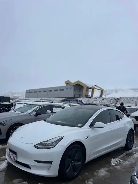 Tesla Model 3 2020