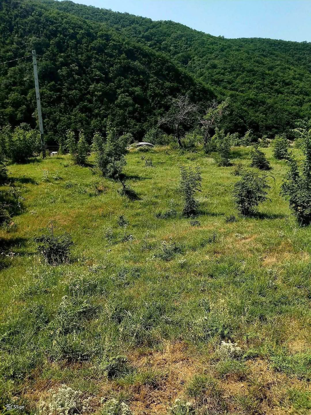 Plot of land, Tbilisi