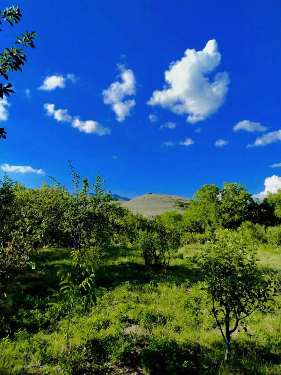 Satılık daire, Erivan