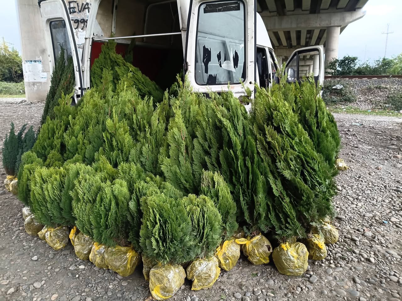 Bazar ertəsi sifarişlər mövcuddur və ya kimsəyə lazım ola bilər