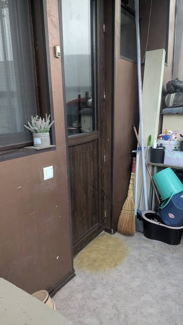 Kirayəyə mənzil verilir, Tbilisi - 800 ₾