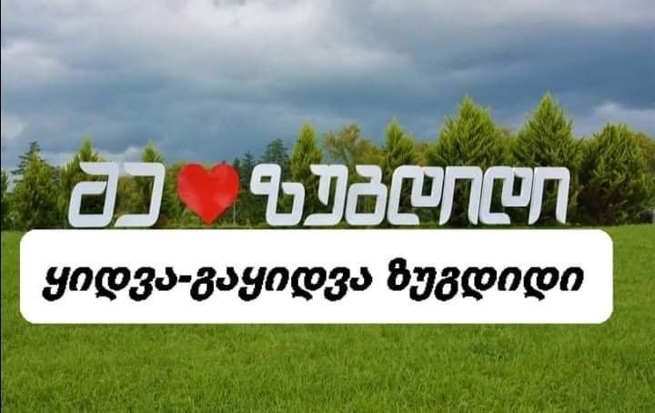 Участок земли, Зугдиди — $20