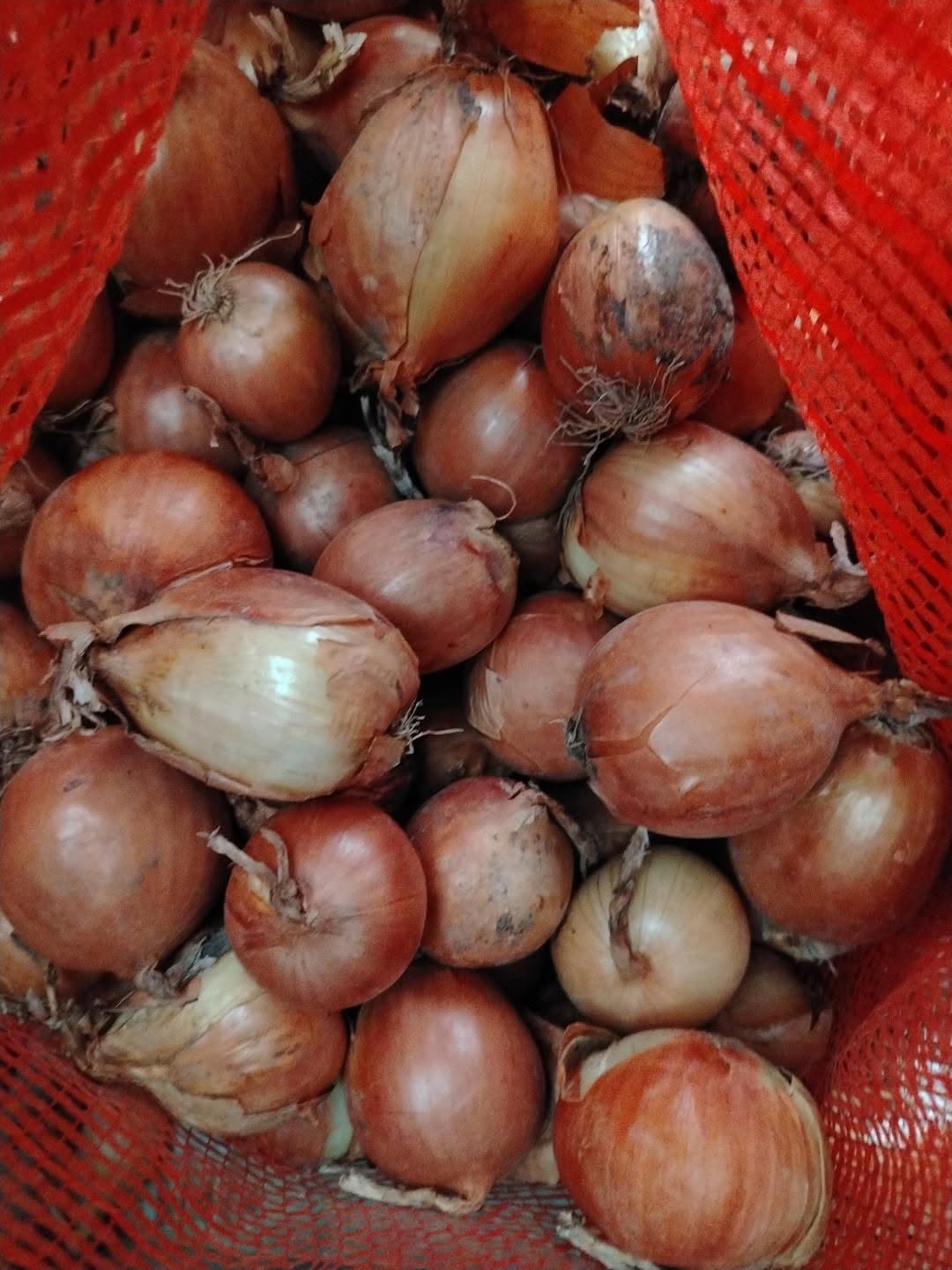 Onion 1.30. Delivery to your door in Khashuri territory — 1.3₾