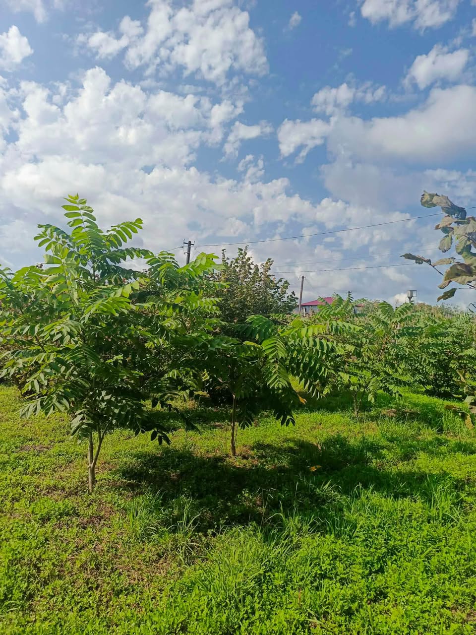3198 m2 konut arsası satılık