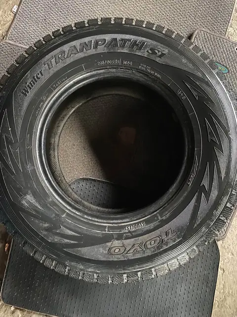 Japanese R15