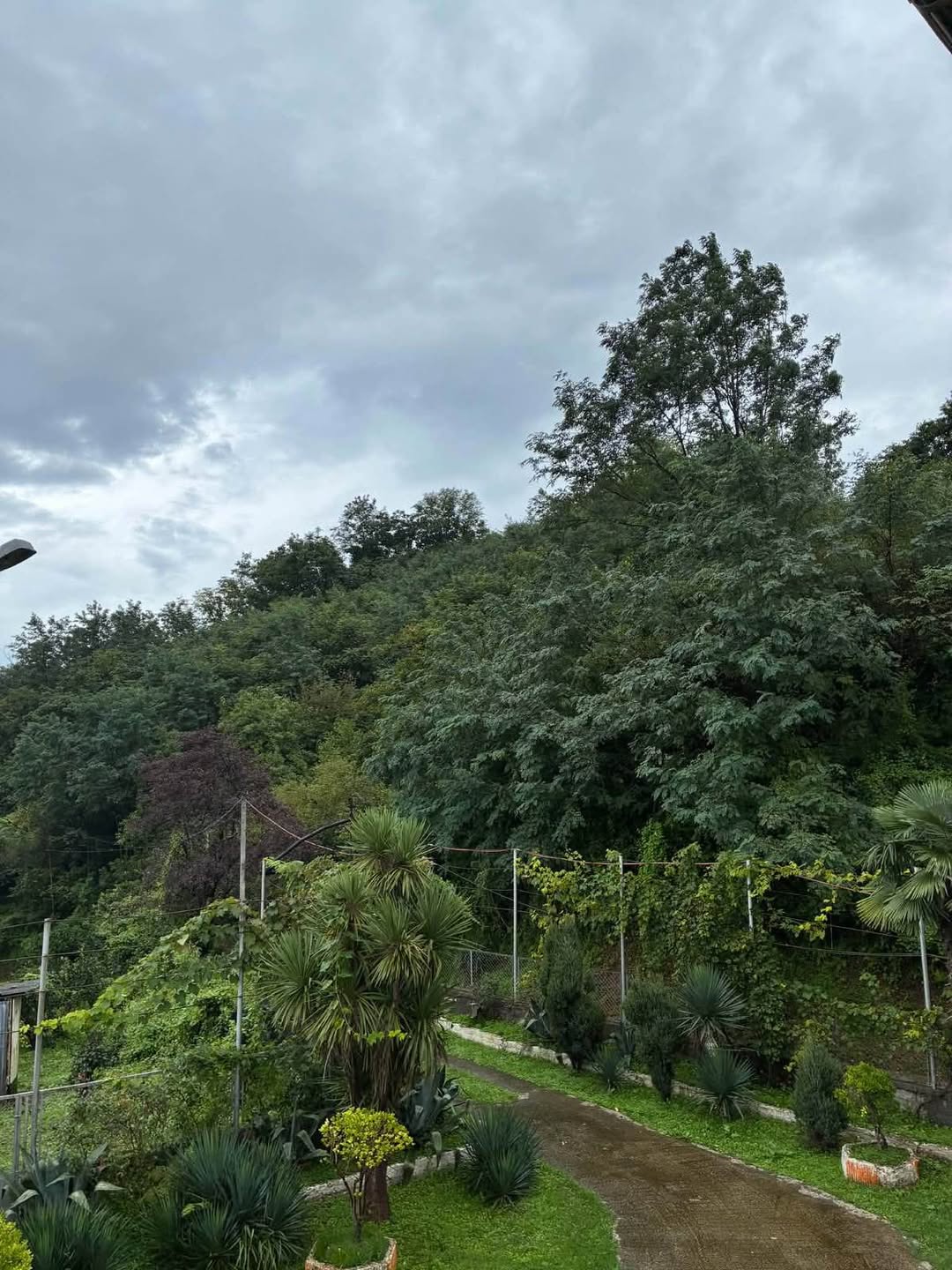 Torpaq sahəsi, Batumi — $130