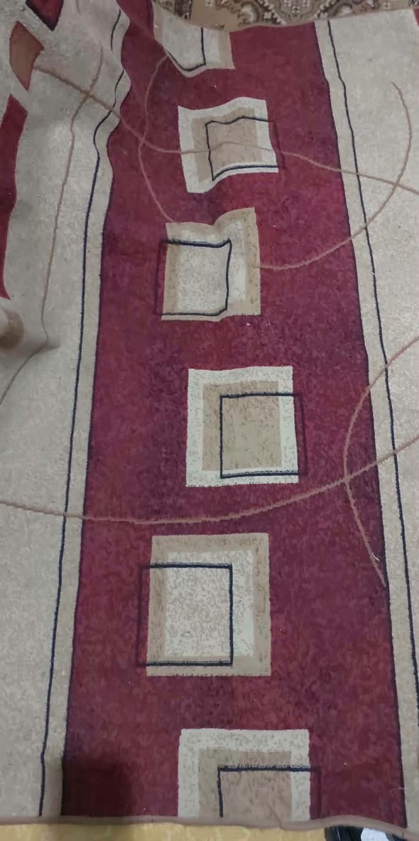Red patterned carpet runner