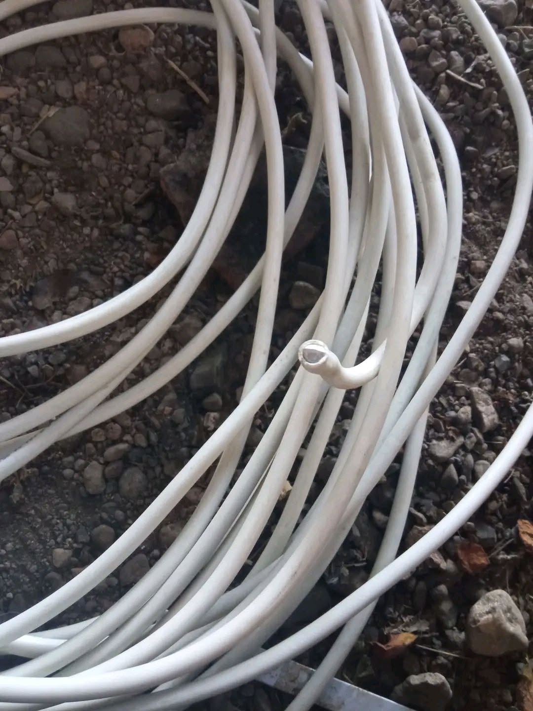 Ağ kabel, 20 metr