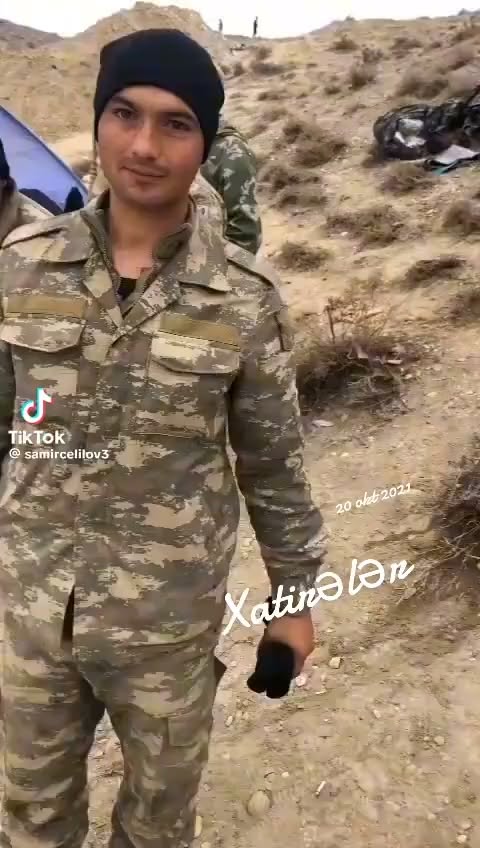 Araç