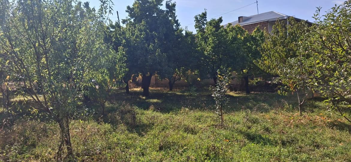 Հողատարածք, Երևան