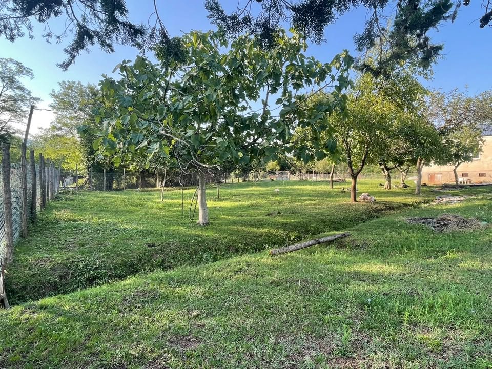 Land plot, Baghdati — $10
