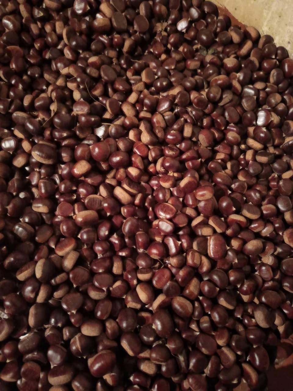 30 kilo çilek var - 10₾