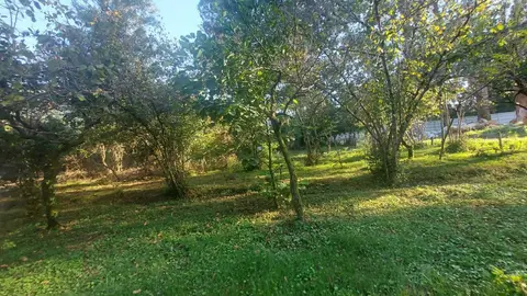 Land plot, Batumi — $130