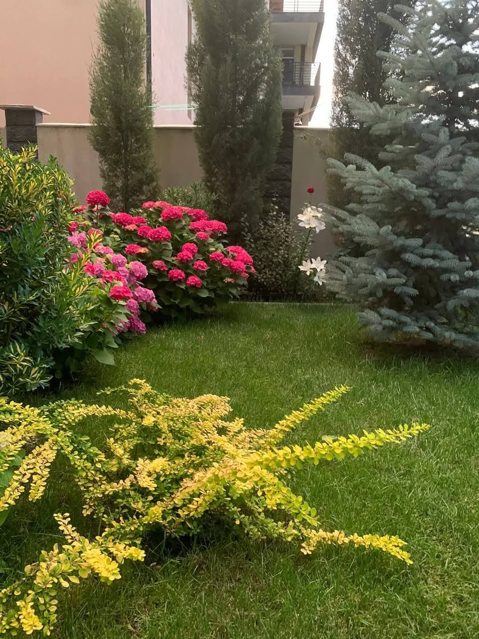 🌿🏡 Սա պարզապես տուն չէ…