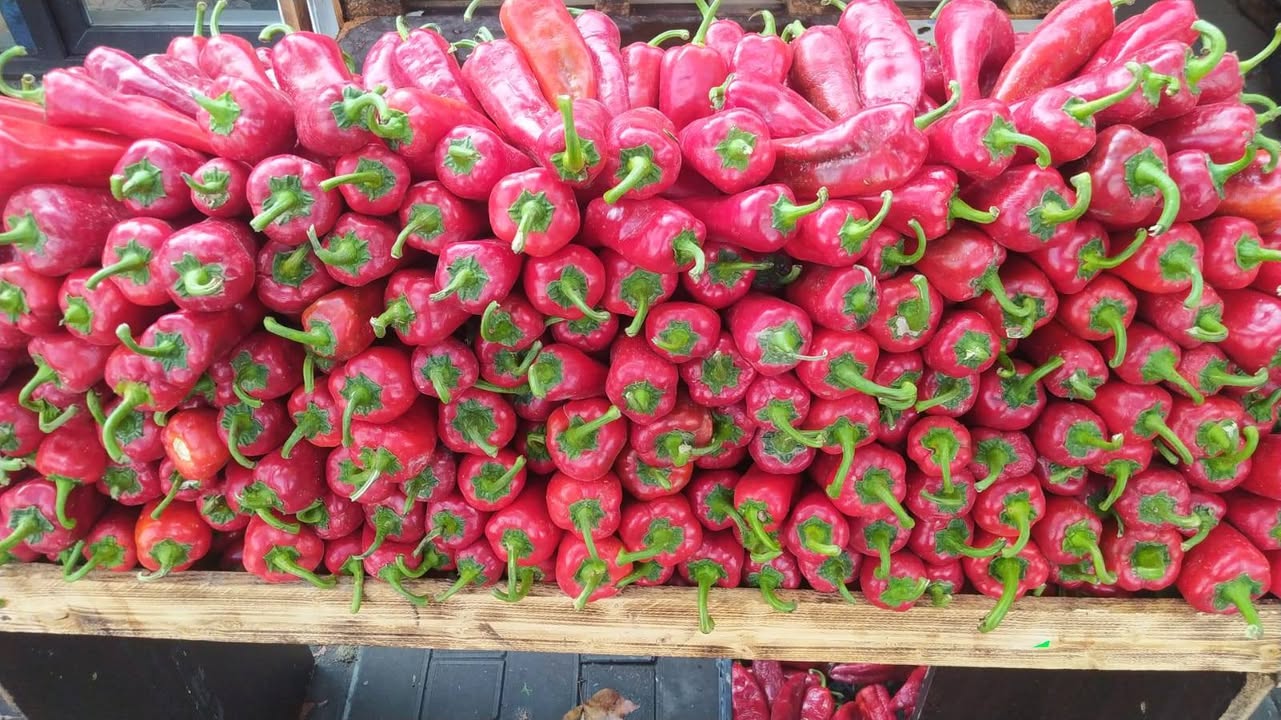 Mümkündür ki, qutularla 1.7 pəmidoru 2.5 bolqarlı 1.80 gətirək